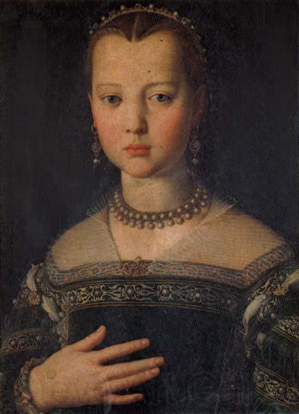 Agnolo Bronzino Portrait of Maria de'Medici